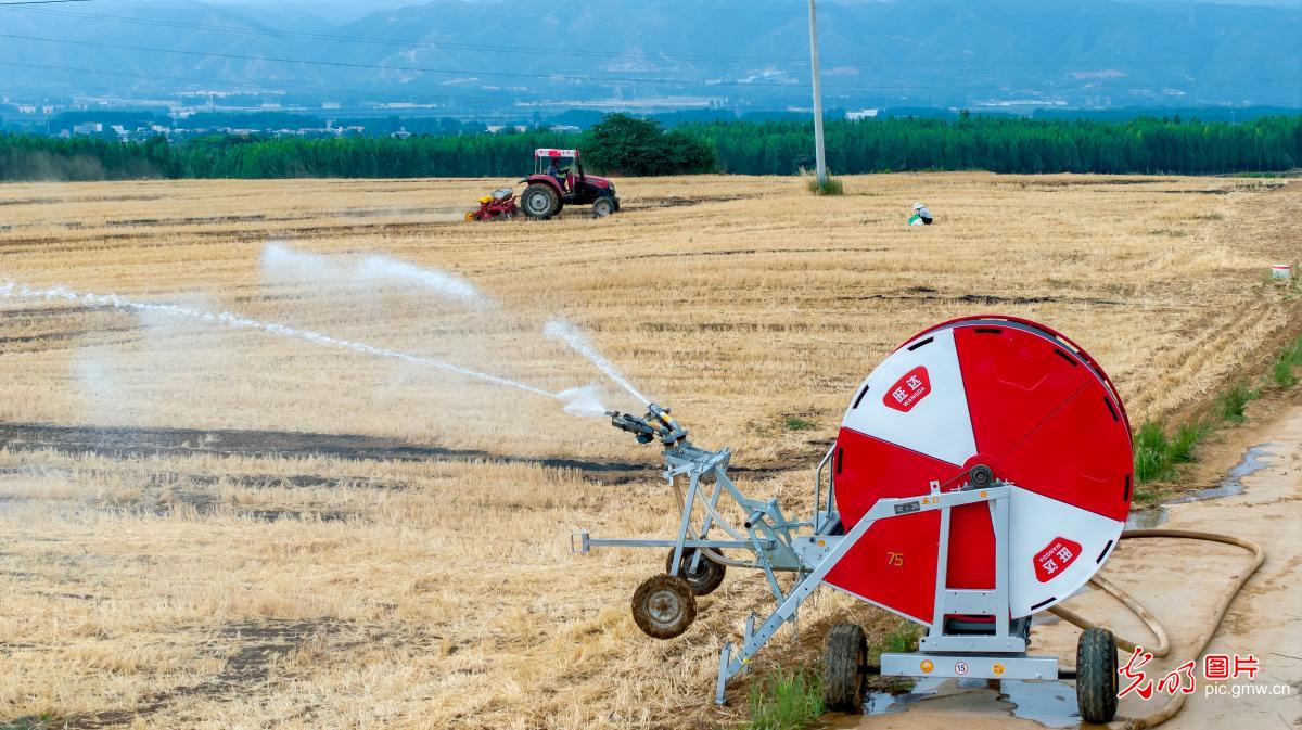 Intensified efforts to combat drought, protect seedlings during summer