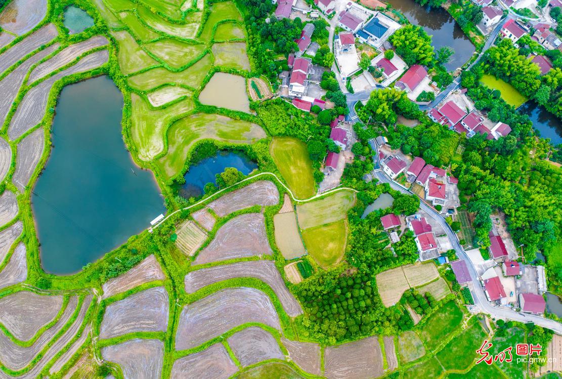 Harmonious and ecologically livable countryside in E China's Anhui