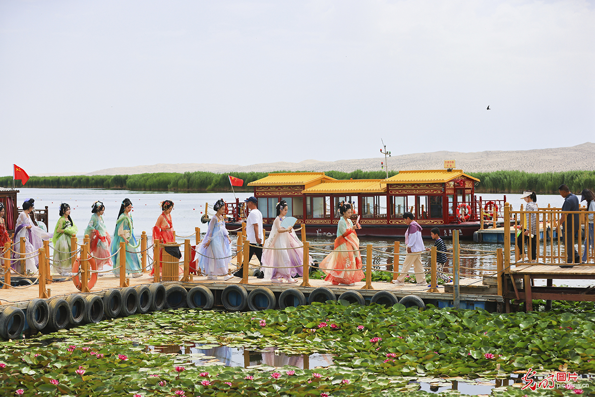 Picturesque landscape of water lilies seen in SW China's Xinjiang