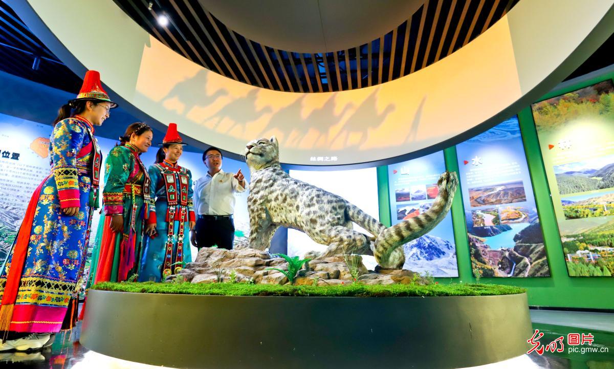 Gansu's first national park-themed natural museum opens