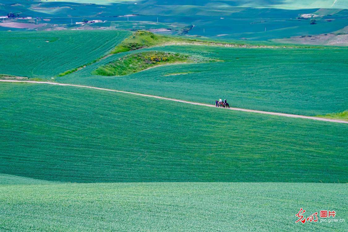 Xinjiang's stunning scenery