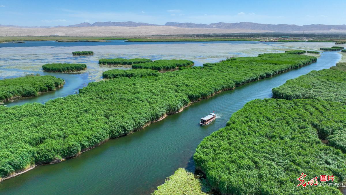 Beautiful scenery at Bosten Lake Beautiful scenery at Bosten Lake in SW China's Xinjiang