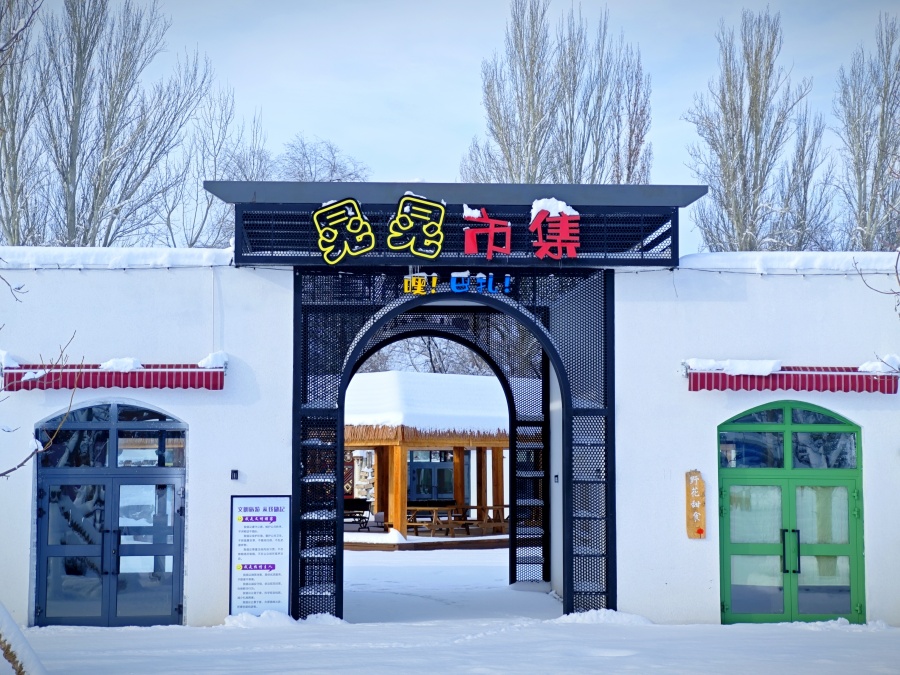 Lavender industry booms in slow-paced Xinjiang village