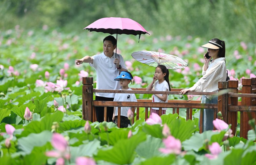 China sees stable employment, rising per capita income in first half of year