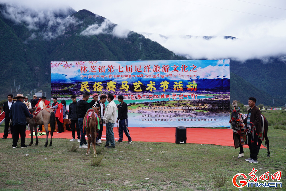 Folk horse racing festival held in Nyingchi celebrating culture, tradition of Xizang