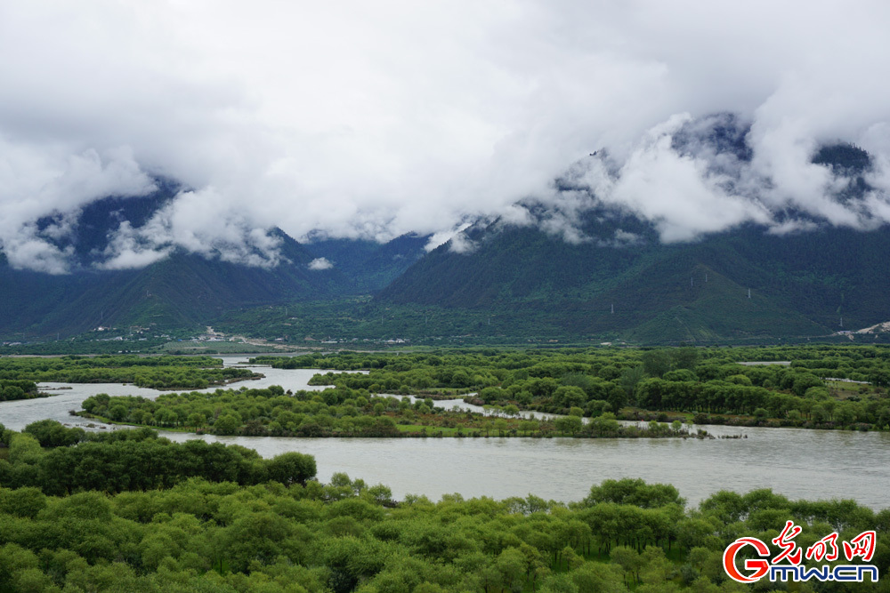 Yani National Wetland Park, shining example of sustainable ecological development