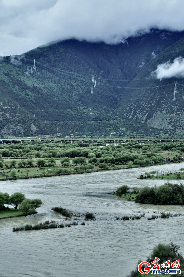 Yani National Wetland Park, shining example of sustainable ecological development