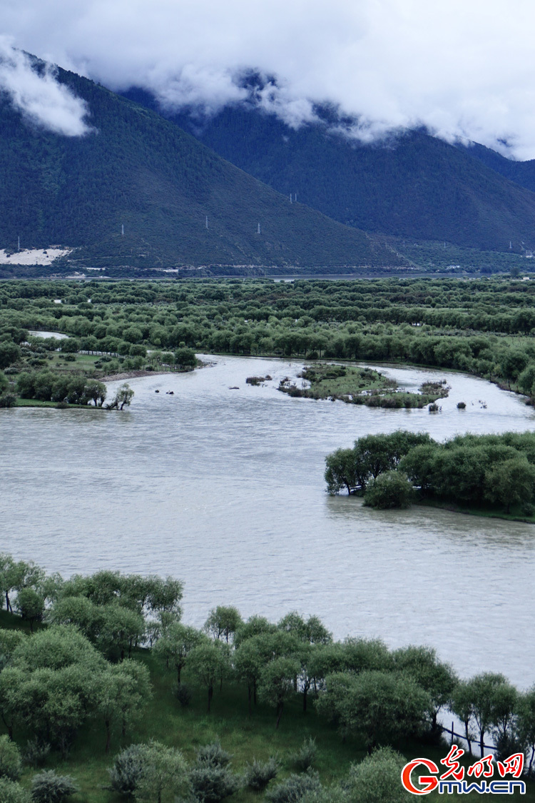 Yani National Wetland Park, shining example of sustainable ecological development