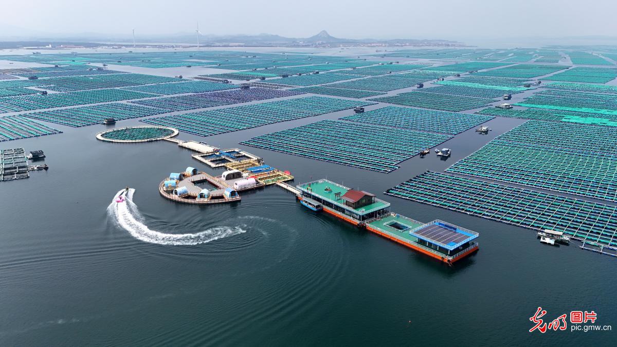 Marine sightseeing in E China's Shandong attract tourists