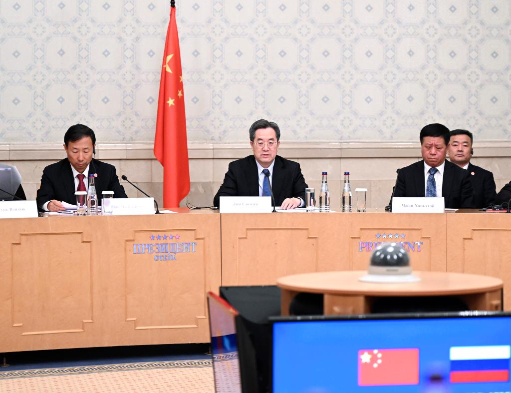 China pledges joint efforts with Russia to build high-level energy cooperation partnership: vice premier