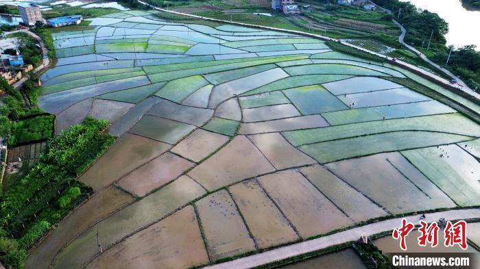 Summer scenery of countryside in S China’s Guangxi