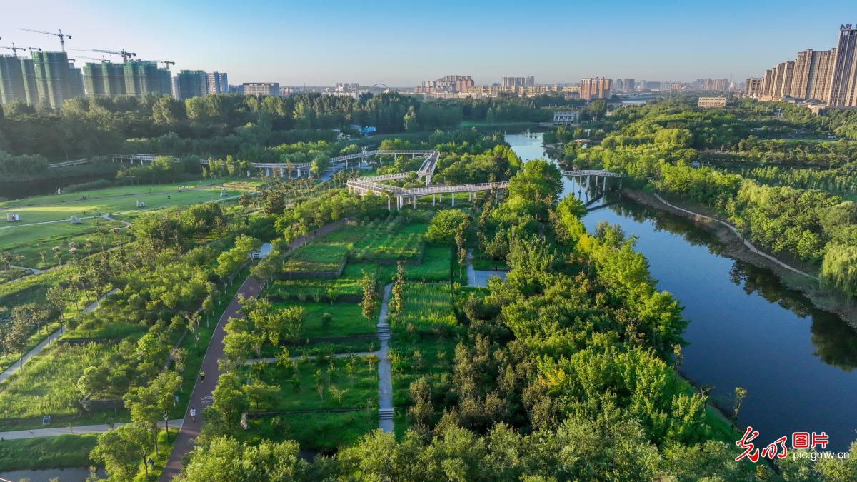 Urban wetland creates ecological home in E China