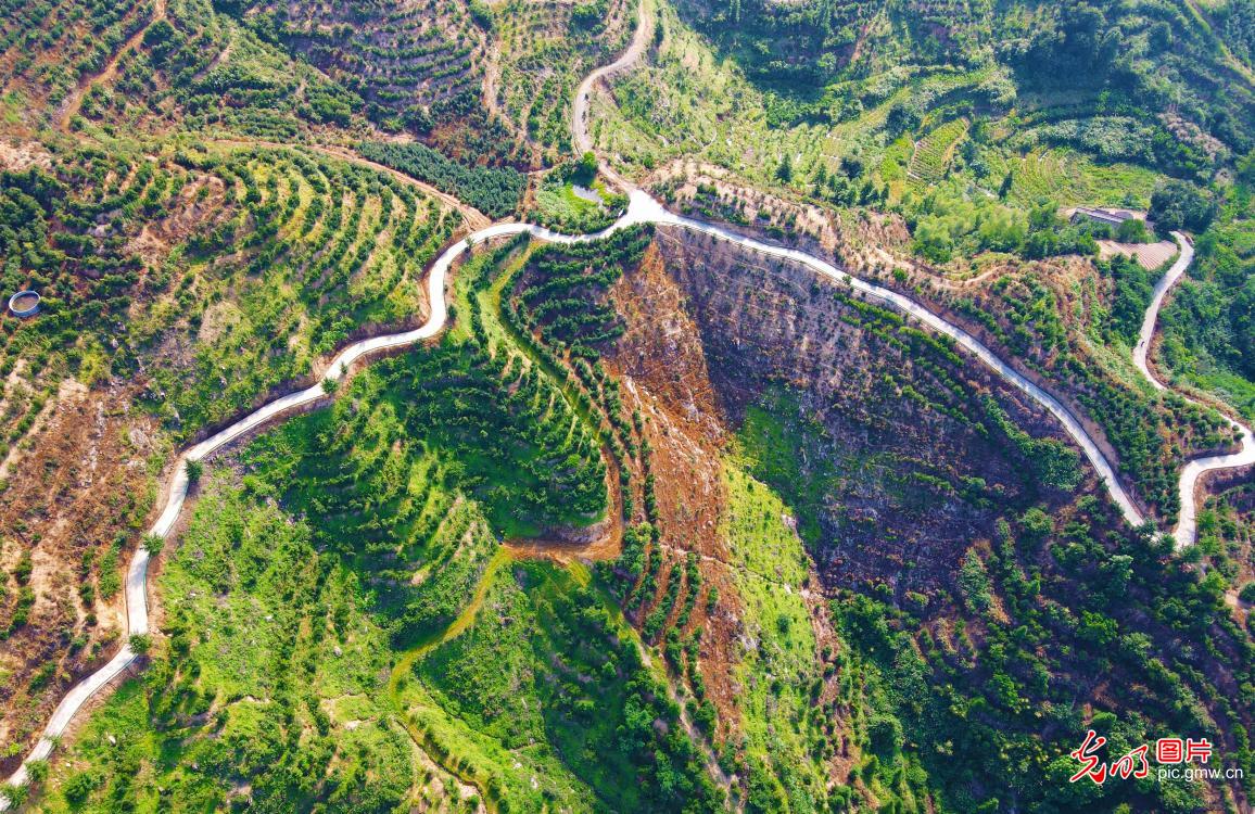 Picturesque countryside scene in E China