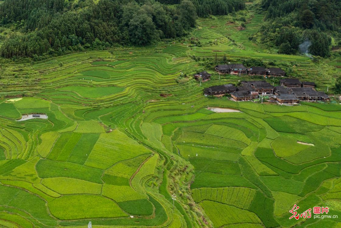 Verdent and picturesque countryside in SW China’s Guizhou