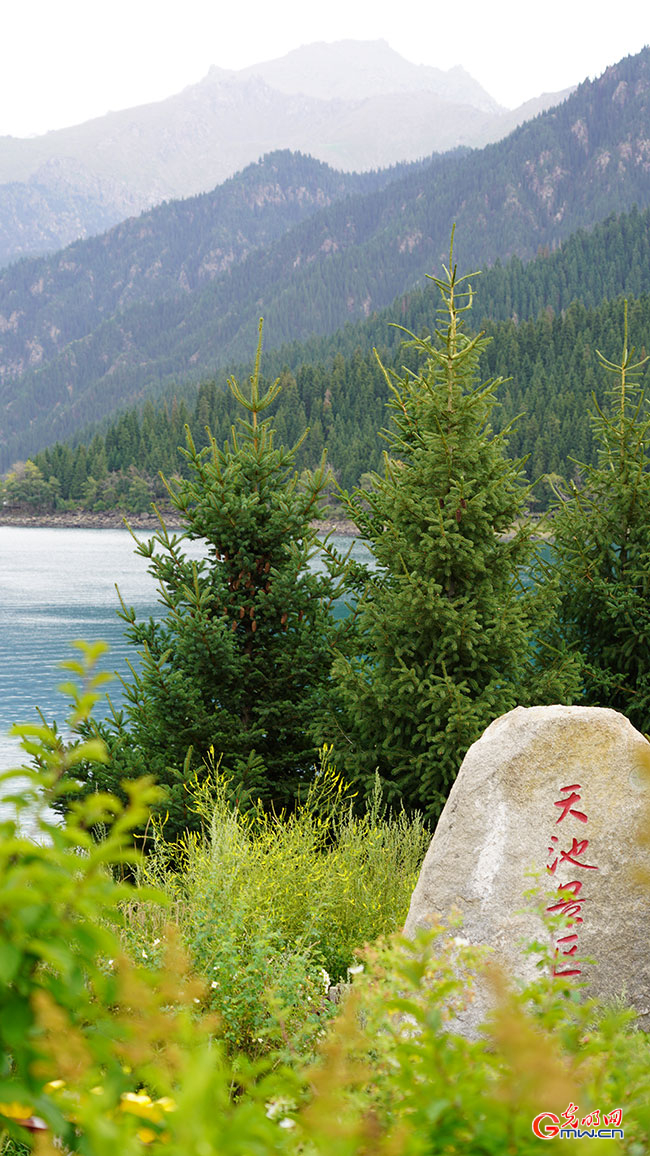 Tianchi Scenic Area attracts visitors in NW China's Xinjiang