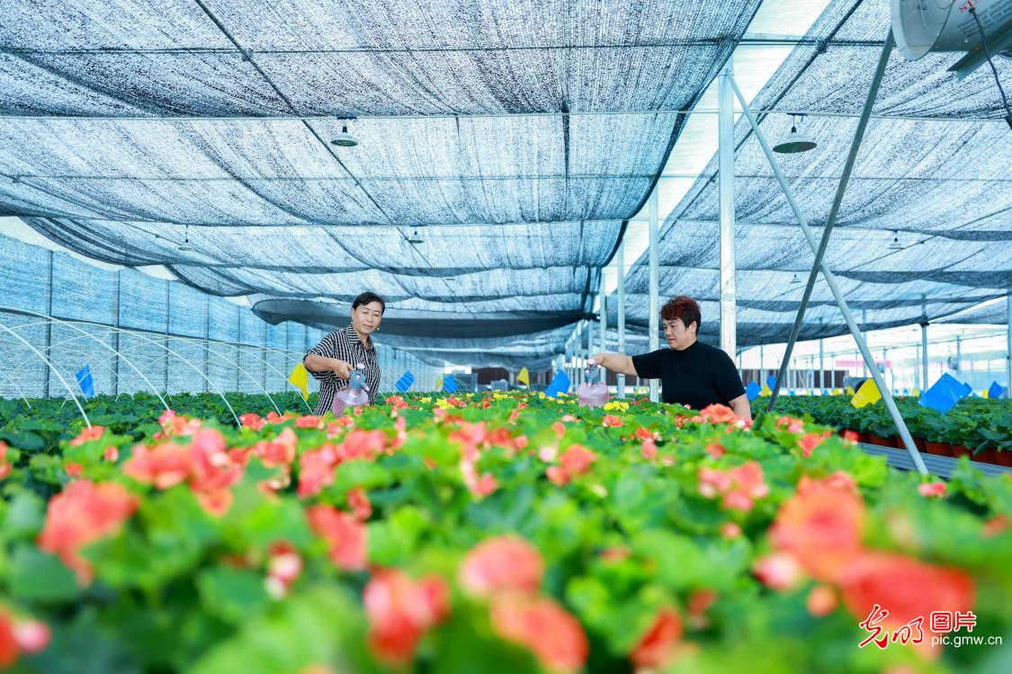 Farmers tending to flowers in E China's Shandong