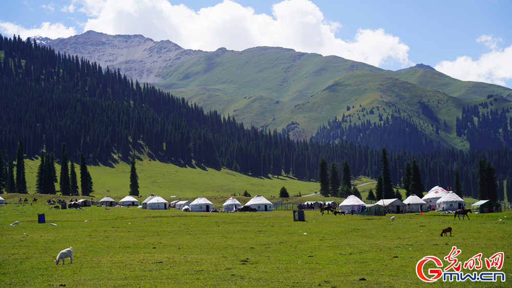 Turkish journalists highlight China's protection of nature and culture in NW China's Xinjiang