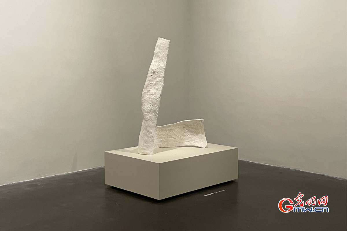 Creative sculpture exhibition deconstructing wood, plaster form