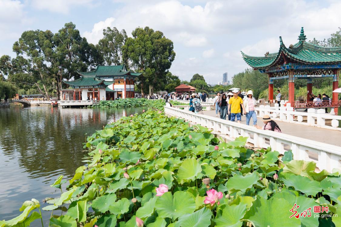 Fragrance of lotus flowers attract viewers across China