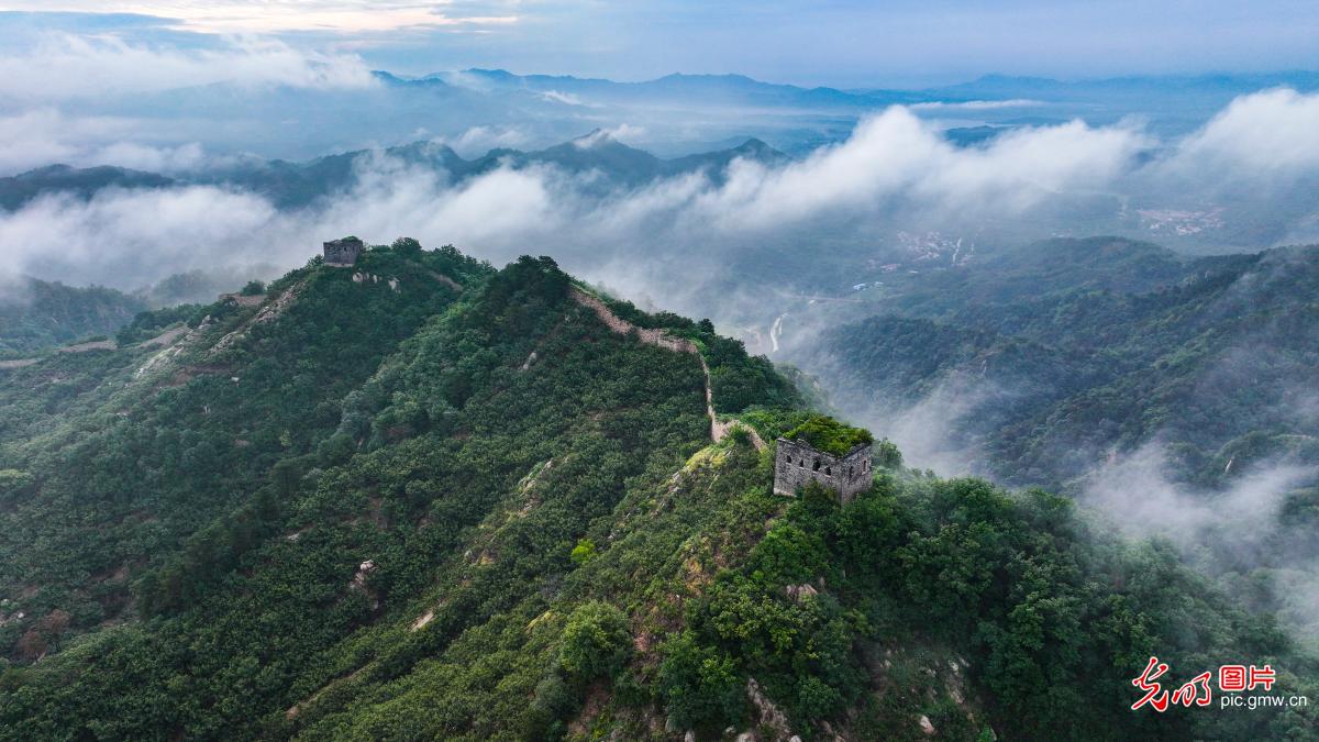 Ancient Great Wall amidst sea of clouds