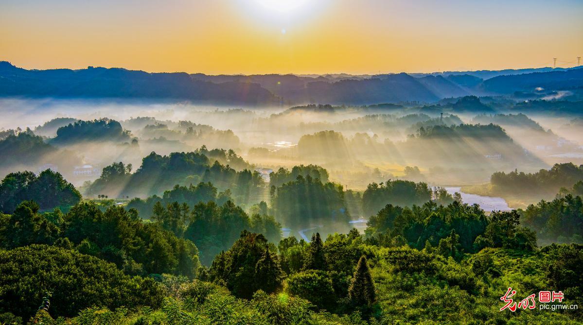 Rural scenery comes to life in SW China’s Chongqing