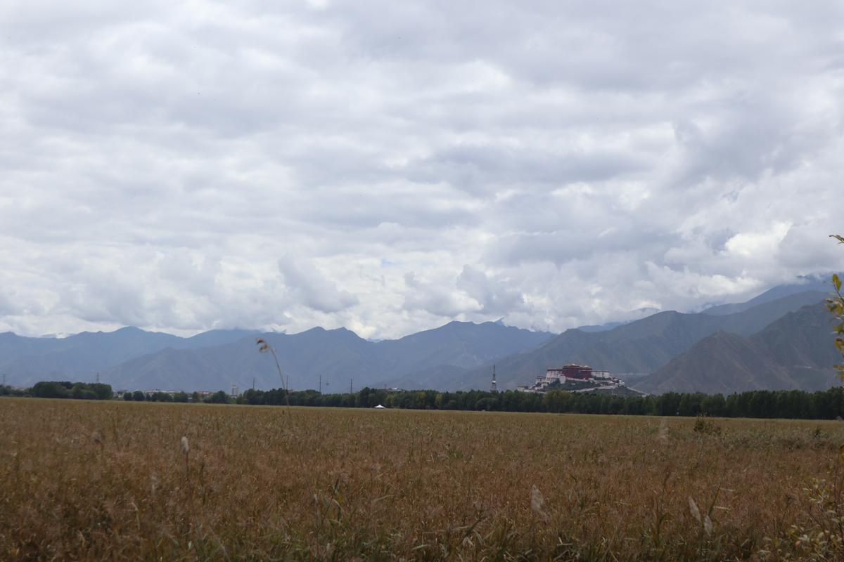 Lhalu Wetland sees major ecological improvements(1)