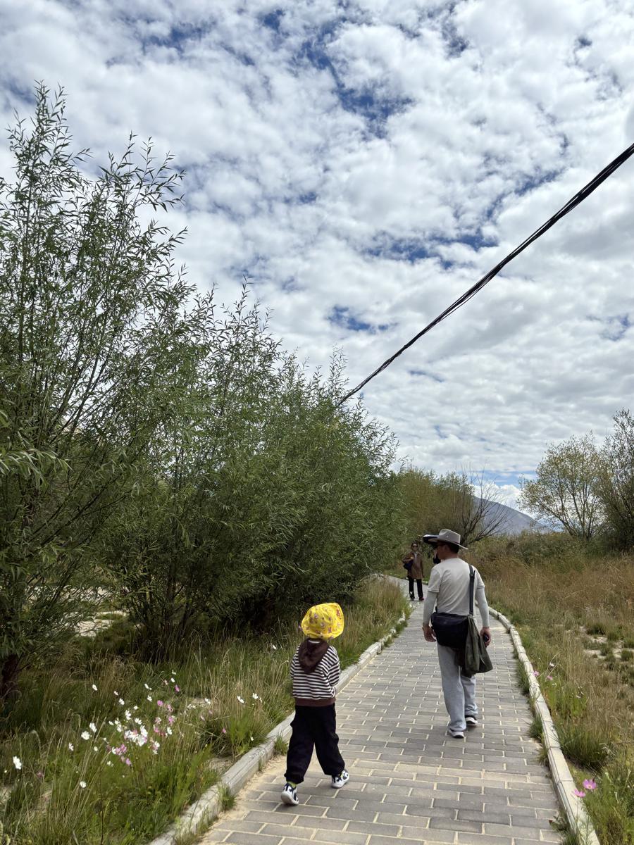 Lhalu Wetland sees major ecological improvements