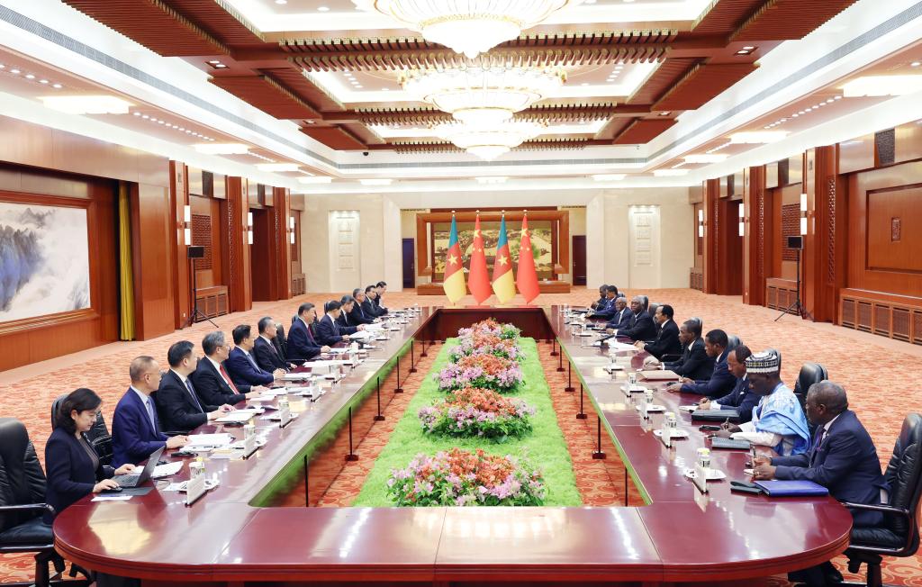 Chinese, Cameroonian presidents announce elevation of bilateral ties