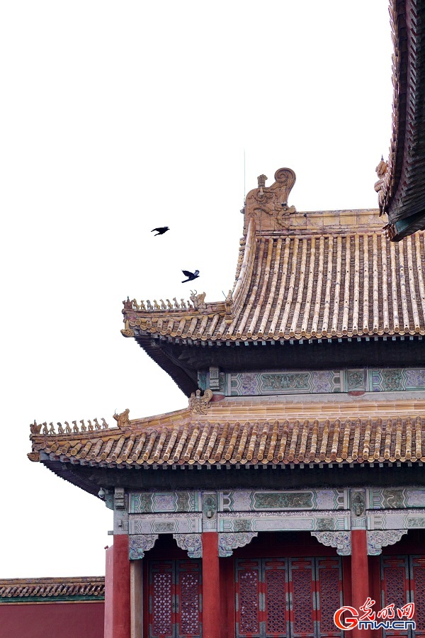 In pics: View of Palace Museum