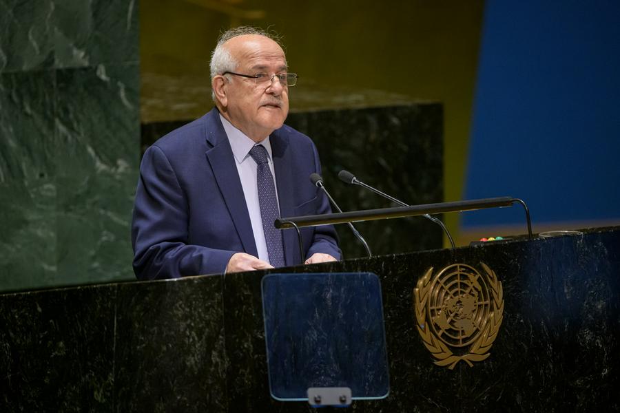 UN General Assembly mulls over draft resolution tabled by Palestine