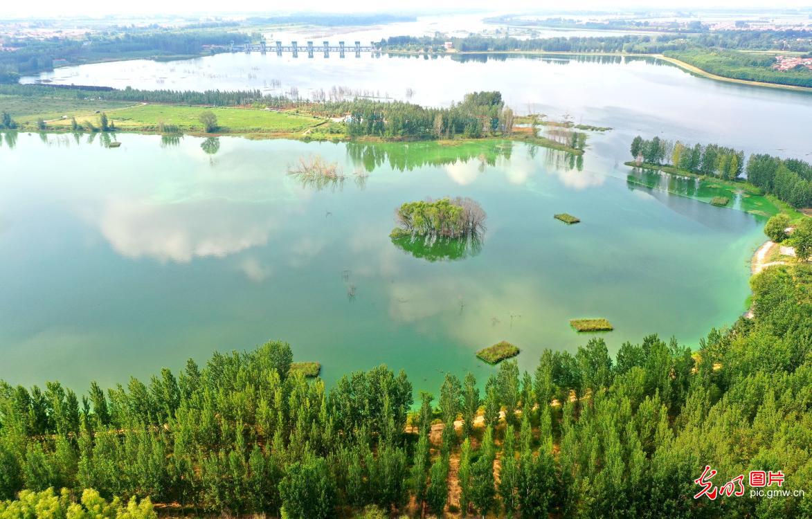 Early autumn scenery in E China's Shandong