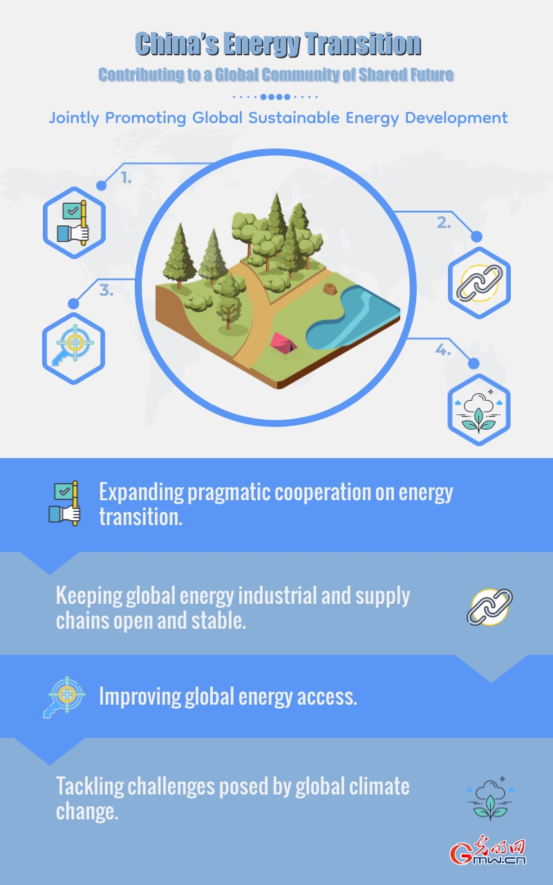 China's energy transition jointly promoting global sustainable energy development