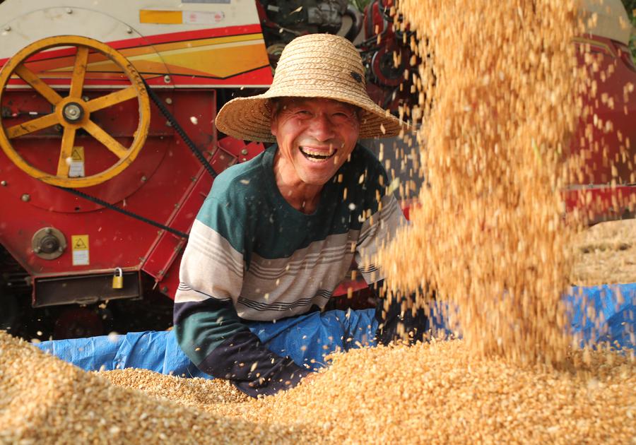 High tech propels bumper harvests in China's grain-producing provinces