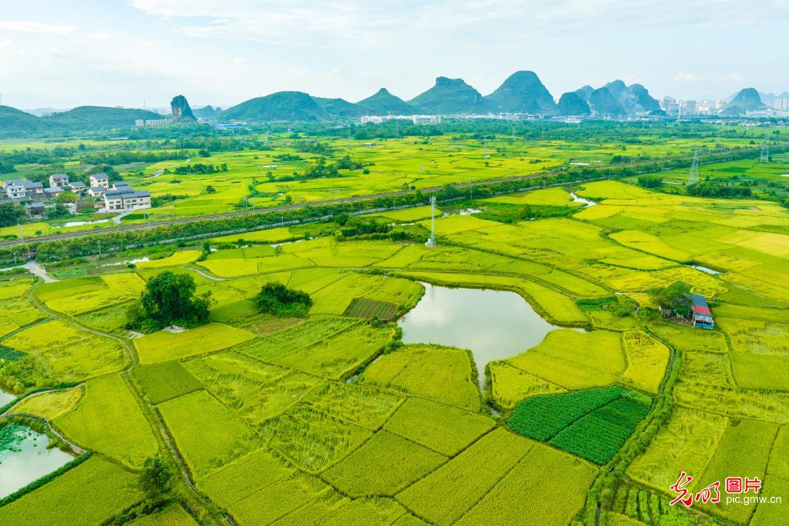 Rural scenery in S China's Guangxi