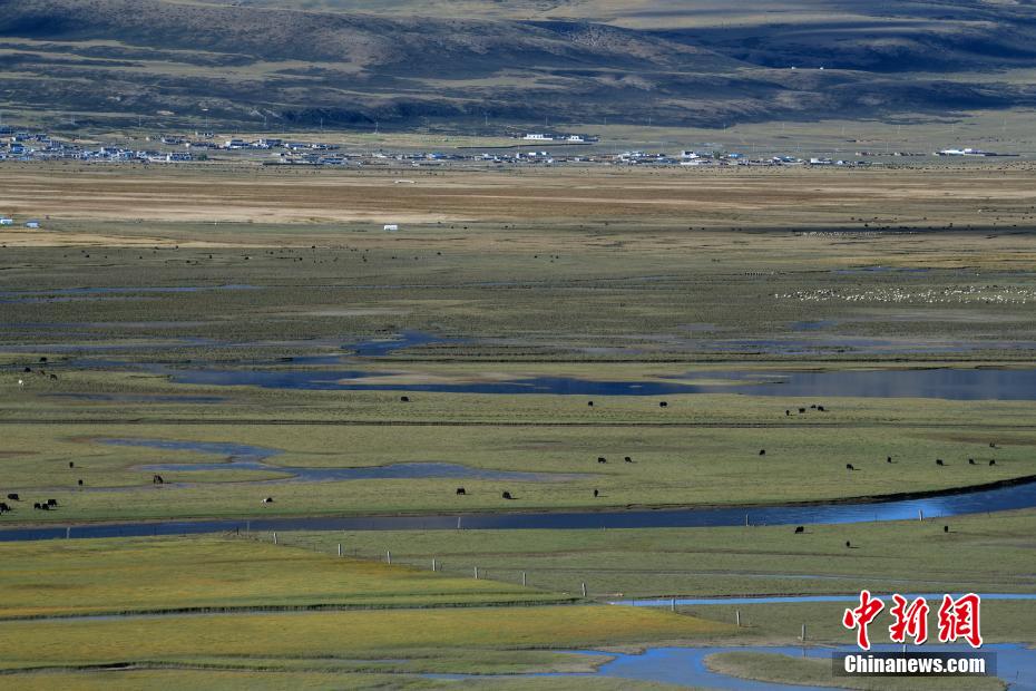 Autumn scenery of northern Xizang grassland