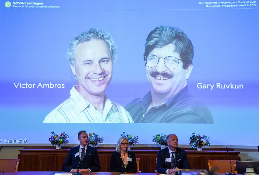 2024 Nobel Prize in Medicine honors 2 scientists for discovering mircoRNA