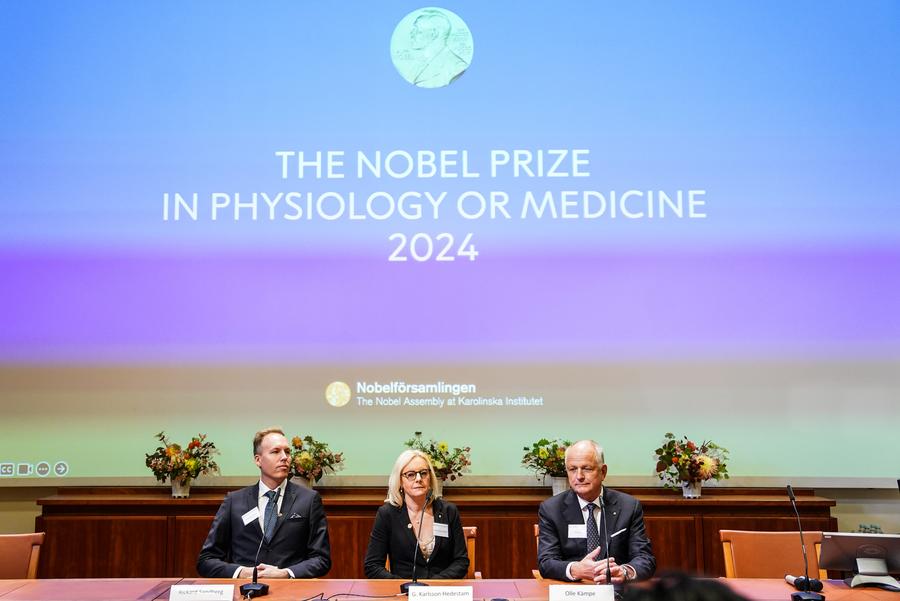 2024 Nobel Prize in Medicine honors 2 scientists for discovering mircoRNA