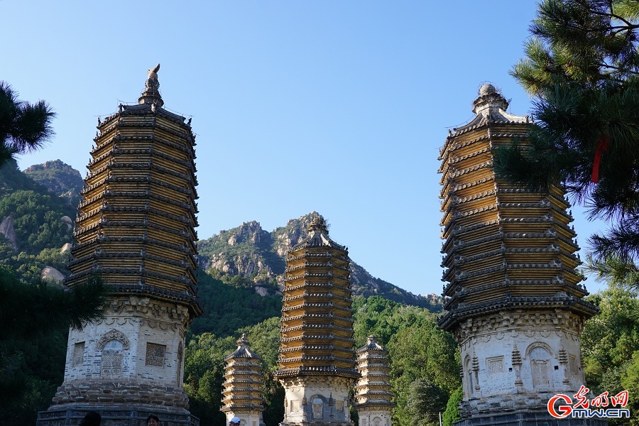 Autumn scenery of Yinshan Pagoda Forest