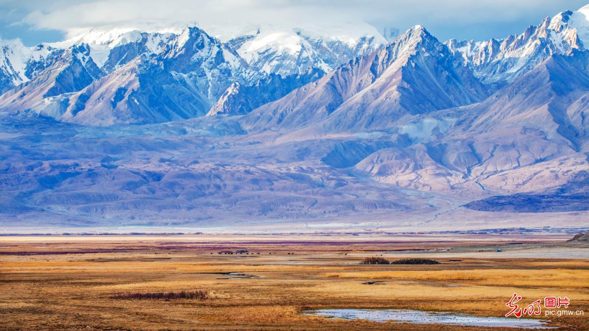 Picturesque wetland scenery in NW China's Xinjiang