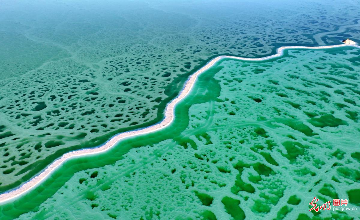 Emerald Lake scenery charms visitors in NW China's Qinghai