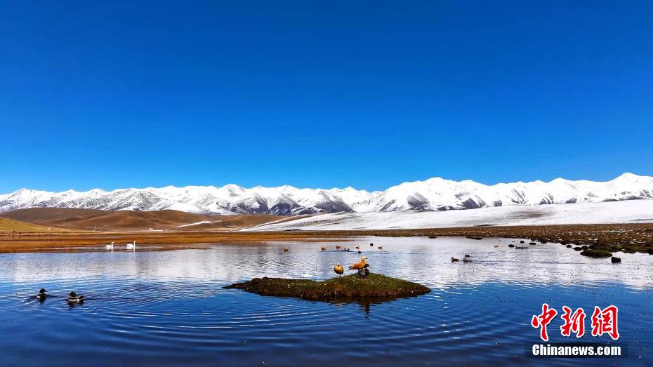 Stunning scenery of snow mountain in NW China’s Qinghai Province