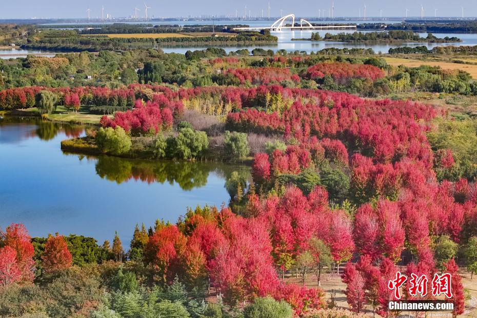 Autumn scenery of Baima Lake in E China’s Jiangsu