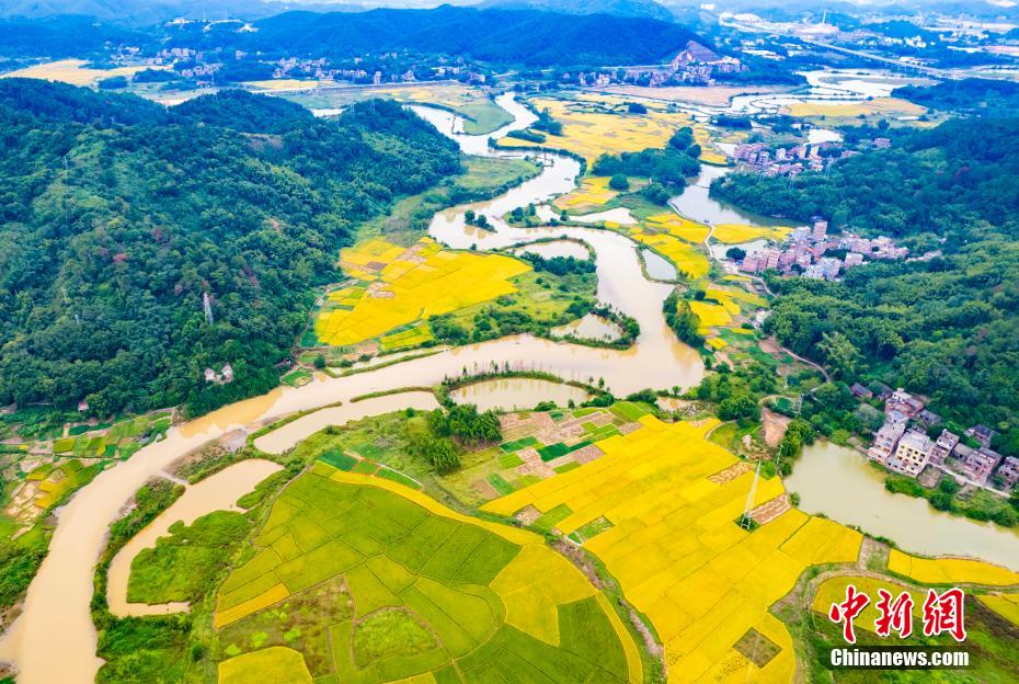 Aerial view of village in S China’s Guangxi