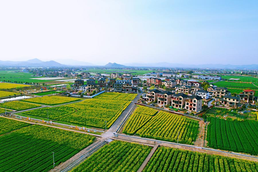 Village CEO a rising career goal in China's rural development quest