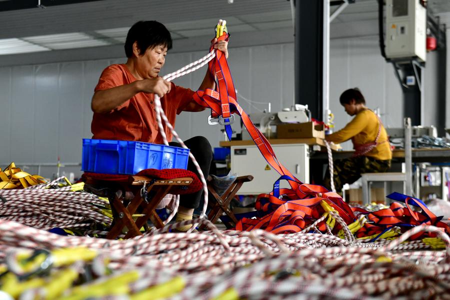 Economy&Life | Shandong advances rope, net production to boost rural revitalization