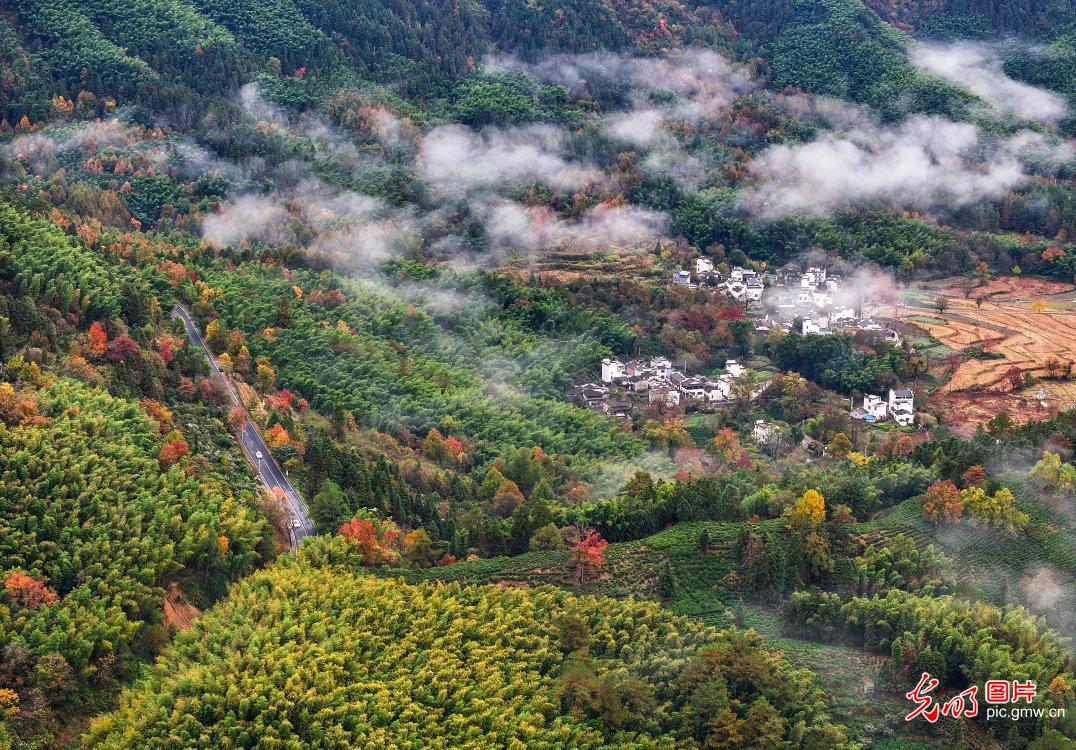 Poetic countryside scene after rain in east China