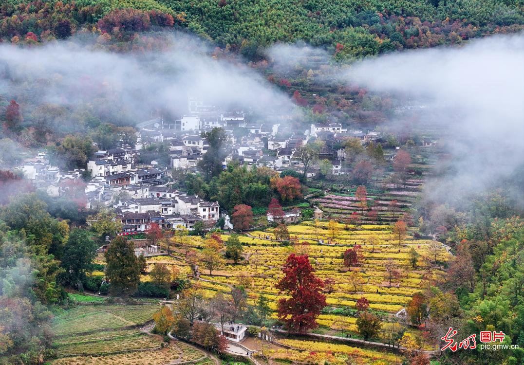 Poetic countryside scene after rain in east China