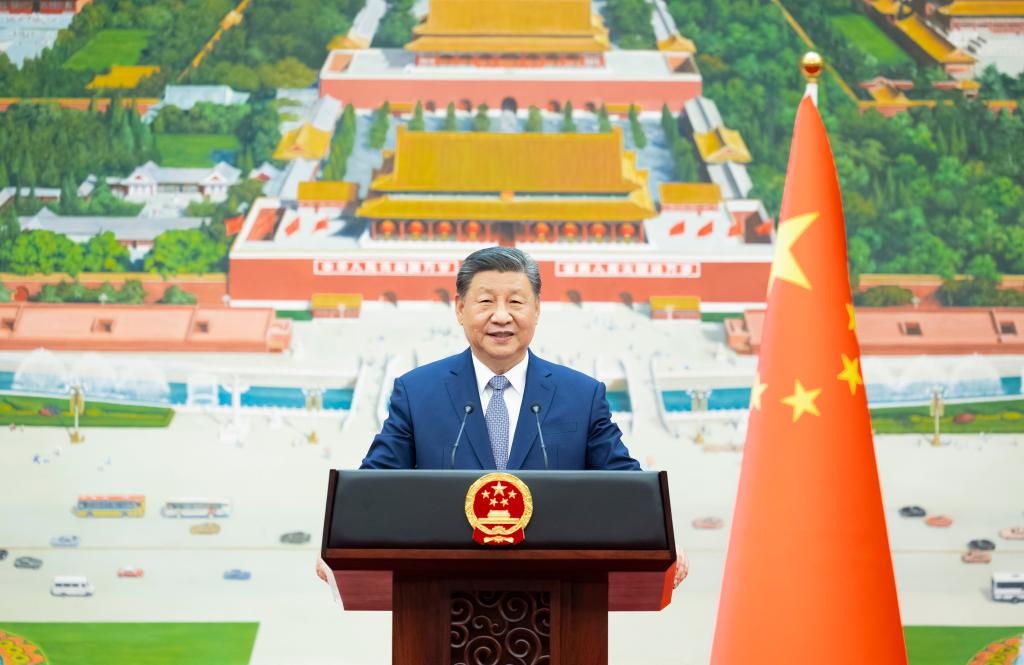 Xi receives credentials of new ambassadors to China