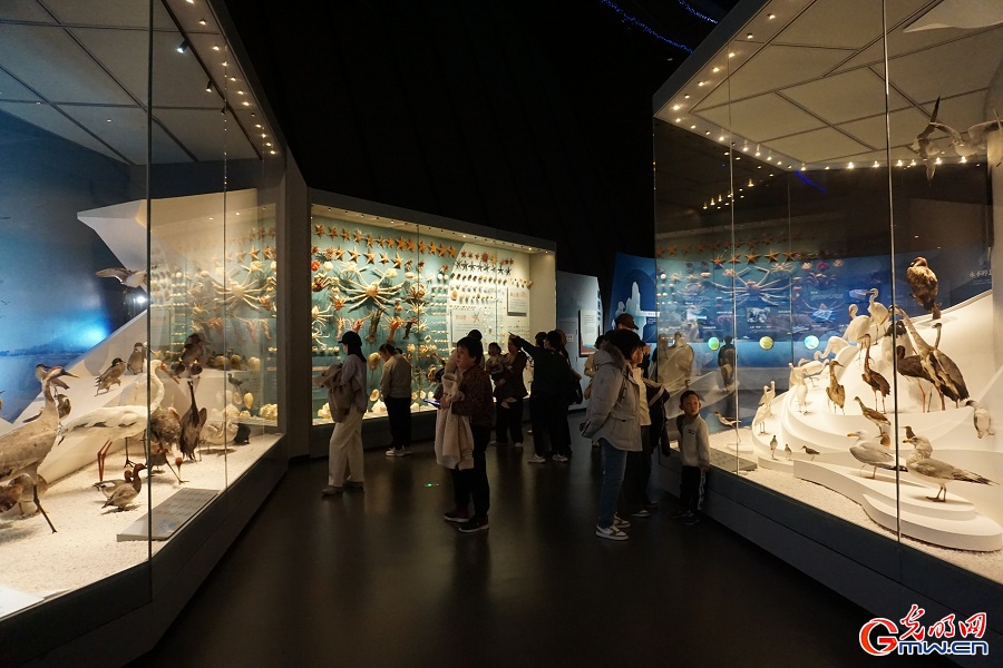 National Maritime Museum of China highlights marine biodiversity