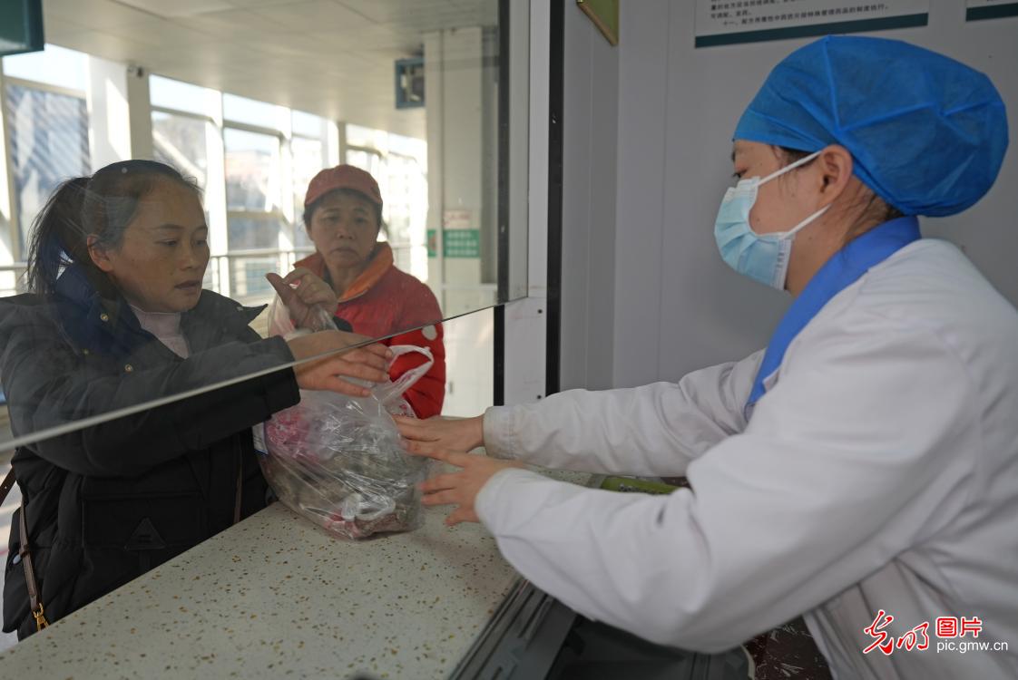 People buy Chinese herbs for winter replenishment in S China's Guangxi